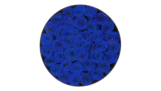 Niebieskie róże – kwiaty, które zaskakują