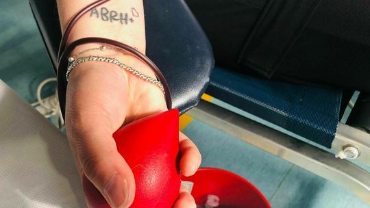 Niech poleje się krew. Terenowe akcje (harmonogram)