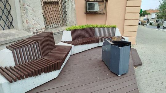 Niechciani mieszkańcy Lublina. Szczury w centrum miasta straszą przedsiębiorców