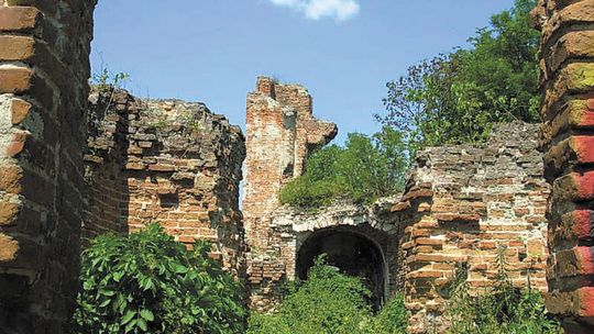 Niedaleko Lublina jest pałac, który znów ma zachwycać