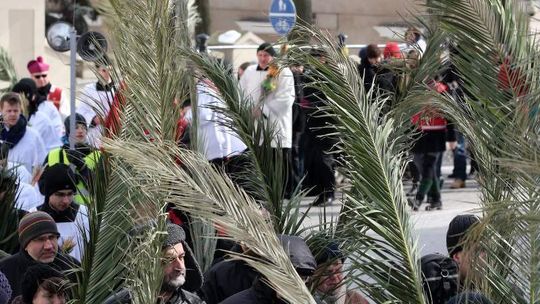 Niedziela Palmowa. Procesje przejdą ulicami Lublina