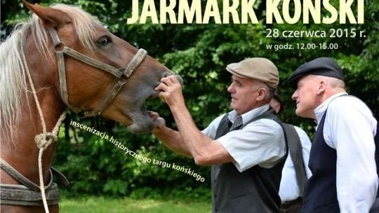 Niedziela w Lublinie. Konie w skansenie, koncert orkiestry