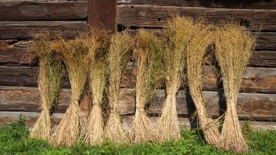 Niedziela z lnem w skansenie