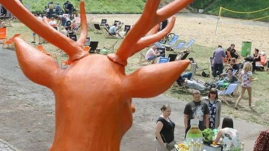 Niedzielne śniadanie na trawie w Plenerze (zdjęcia)