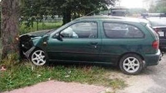 Niedźwiedź: Pijany kierowca wpadł na drzewo, naubliżał policjantowi