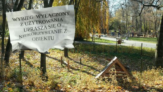 Niekończąca się opowieść o kiełkowaniu trawy na wybiegu dla psów w parku Ludowym