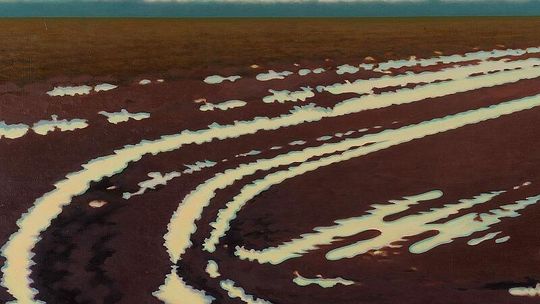 Niełatwy świat Antoniego Starowieyskiego