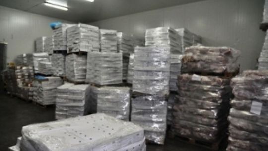 Nielegalna chłodnia w Tomaszowie. 150 ton mięsa, część przeterminowana (zdjęcia)