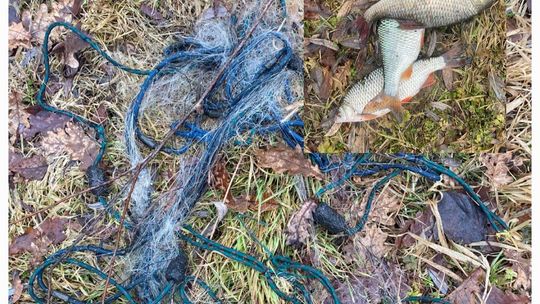 Nielegalnie łowił ryby. Dzielnicowa zatrzymała kłusownika