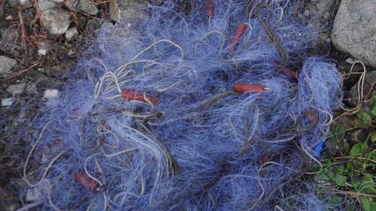 Nielegalnie łowili ryby w Wiśle. Grozi im więzienie