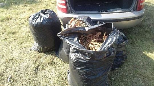 Nielegalnie produkował papierosy. Trafił na komendę 