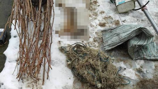 Nielegalny połów ryb obalony