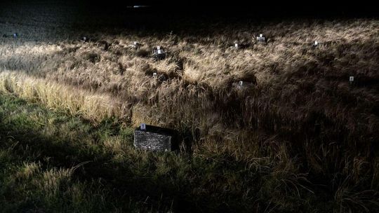 Nielegalny towar z Ukrainy przemycali motolotnią