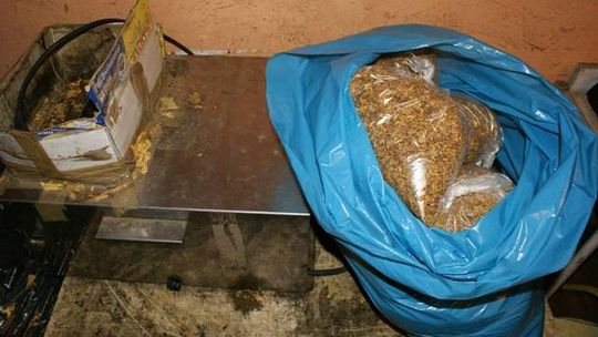 Nielegalny tytoń i ... skarpety