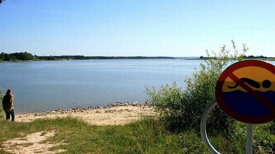 Nielisz, Zwierzyniec. Ludzie na brzegu, sinice pływają