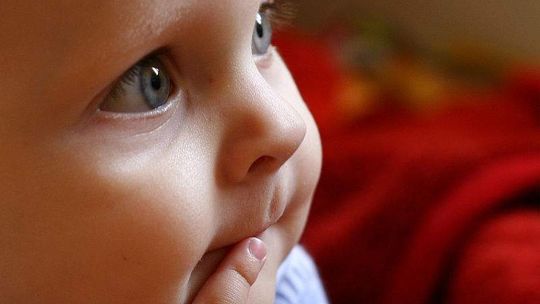 Niemce: Powstanie pierwszy publiczny żłobek w gminie wiejskiej w naszym regionie