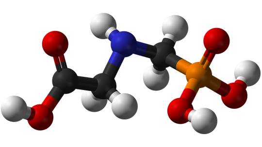 Niemieccy naukowcy: Uwaga na glifosat!
