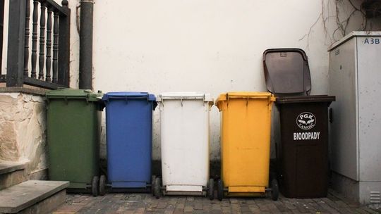 Nieoficjalne wyniki zamojskich konsultacji "śmieciowych". Jakie są opinie mieszkańców?