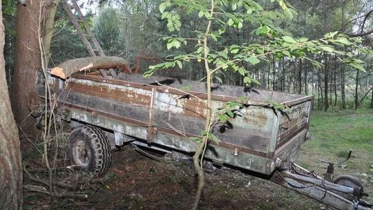 Nieszczęśliwy wypadek podczas wycinki drzewa. Zginął 79-latek