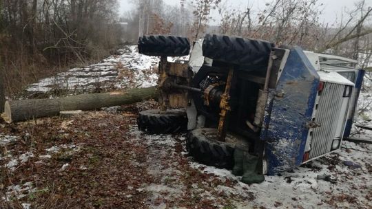 Nieszczęśliwy wypadek przy wycince drzewa. Mężczyzna trafił do szpitala [zdjęcia]