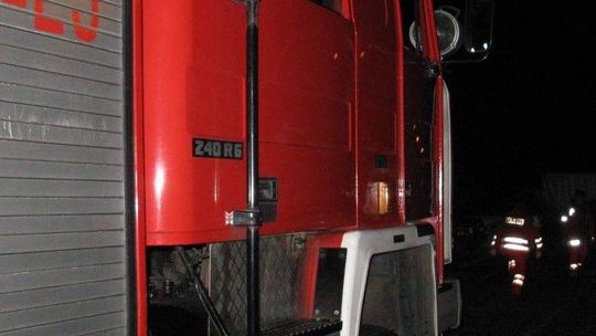 Nietoperz wleciał do mieszkania. Potrzebna była pomoc strażaków