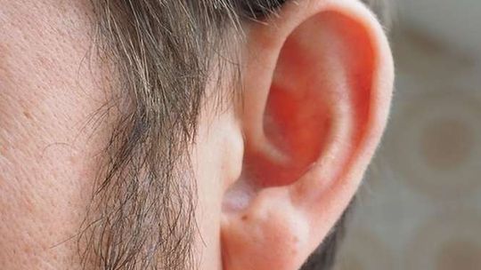 Nietypowa wpadka włamywaczy. Wszystko przez... uszy!