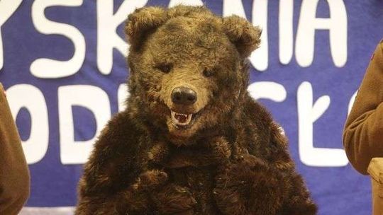 Nietypowy gość w lubelskim przedszkolu. Miś Wojtek i spotkanie z historią