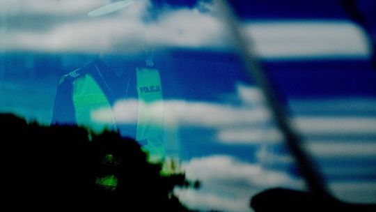 Nietypowy wypadek na autostradzie A2. W zdarzeniu uczestniczył koń wyścigowy