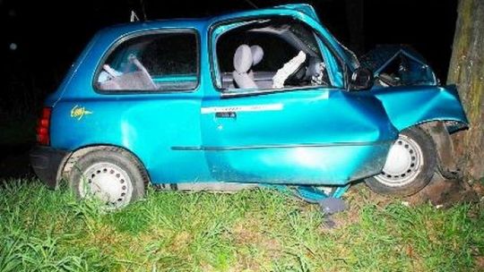 Niewęgłosz: Nissan wpadł na drzewo
