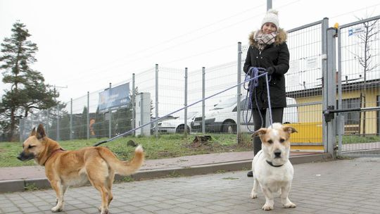 Niewidomy Nikoś i staruszek Wincenty też czekają na swoją szansę