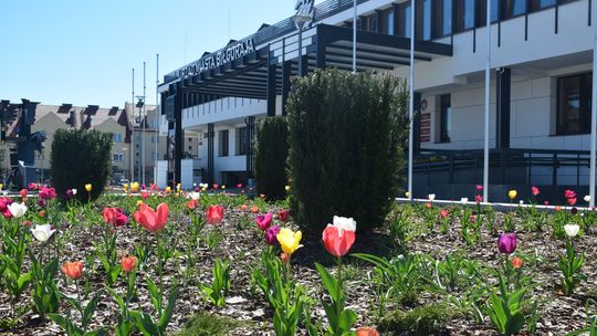 Niezależni razem z PiS. Taki jest układ sił w Biłgoraju