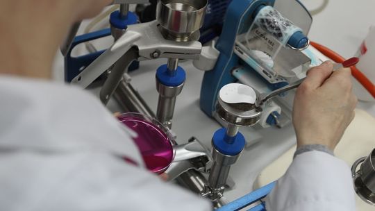 Niezidentyfikowany wirus zaatakował w jednej z gmin w Lubelskiem. W szkole odwołano zajęcia [wideo]