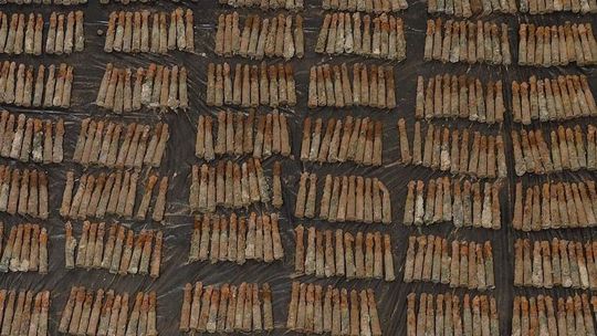 Niezwykłe znalezisko podczas prac budowlanych w powiecie zamojskim