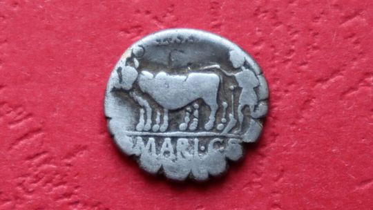 Niezwykłe znalezisko w sadzie. Moneta, którą płacono w czasach przed Chrystusem 