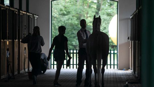 NIK: Kondycja finansowa stadnin coraz gorsza. Oceniają też warunki w hodowli koni w Janowie Podlaskim