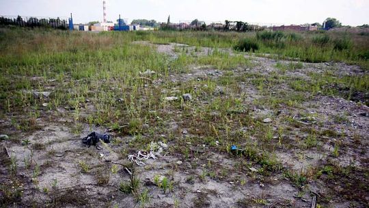 NIK prześwietla miejski stadion: Czy budowa na Krochmalnej ma sens?