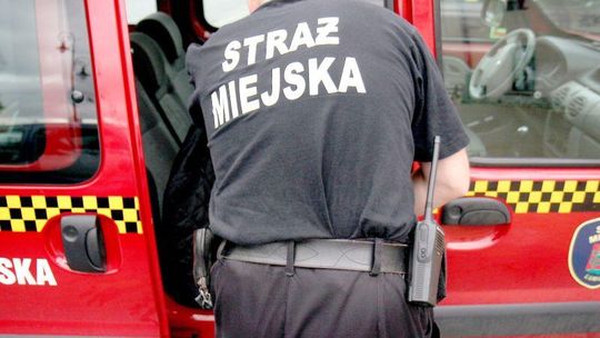 NIK wytknęła nieprawidłowości strażnikom z Lublina i Zamościa