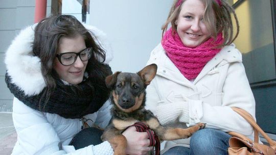 Nikt nie chciał bezdomnego psa