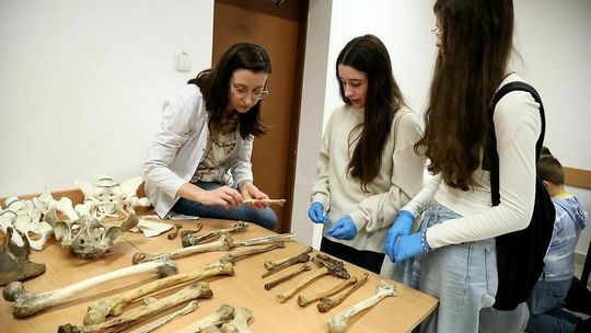 Noc Biologów na UMCS