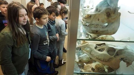 Noc Biologów na UMCS w Lublinie (zdjęcia)