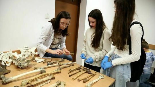 Noc Biologów po raz piętnasty w Lublinie. To gratka dla miłośników nauki