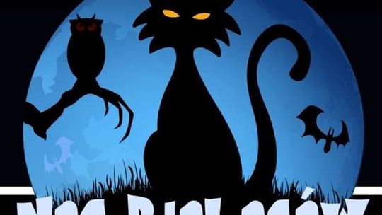 Noc Biologów w Lublinie