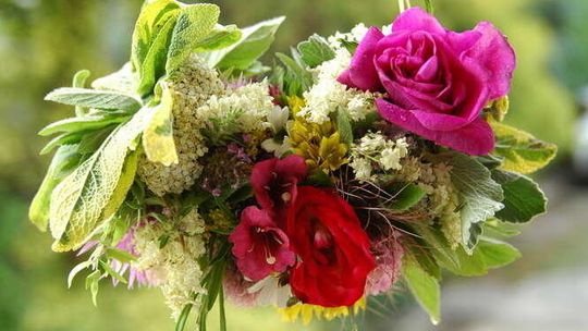 Noc Muzeów z Ogrodem Botanicznym UMCS