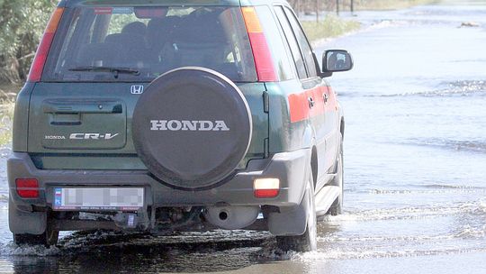 Nocą po bezdrożach