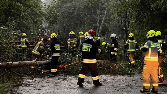 Nocne nawałnice powaliły drzewa, zalały domy. Ponad 250 interwencji strażaków 