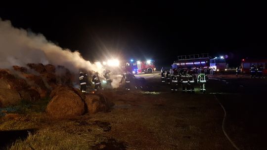 Nocny pożar w stadninie koni w Lublinie
