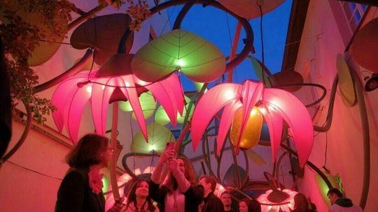 Nocy Kultury 2024. Każdy może mieć udział w tworzeniu festiwalu