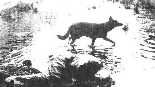 "Notatki z podziemia w piwnicy na Olejnej