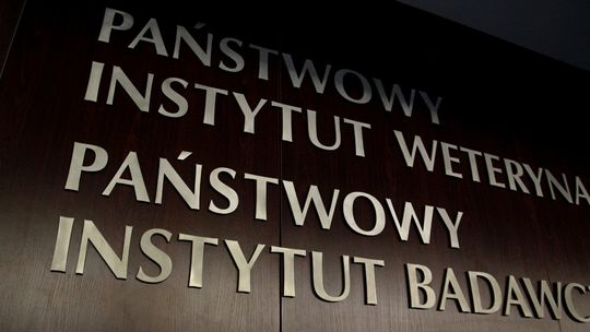 Nowa inwestycja w Instytucie Weterynaryjnym w Puławach. Ruszyły obiekty do badań nad najbardziej niebezpiecznymi patogenami