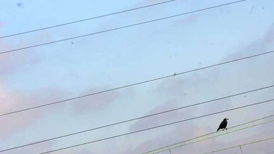 Nowa linia energetyczna z Zamościa do Szczebrzeszyna. Wiatr już nie taki straszny